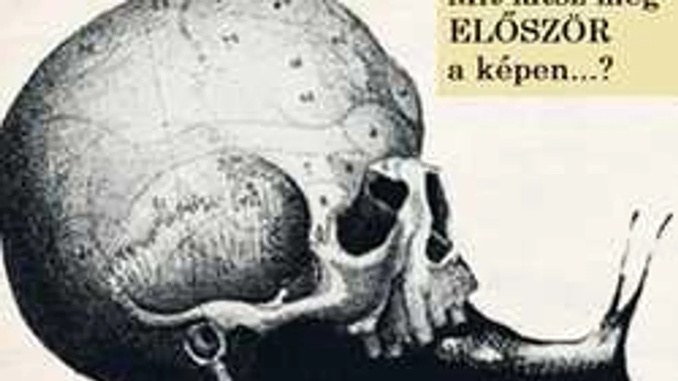 Megdöbbentő ez a személyiségteszt: mit látsz meg először?!