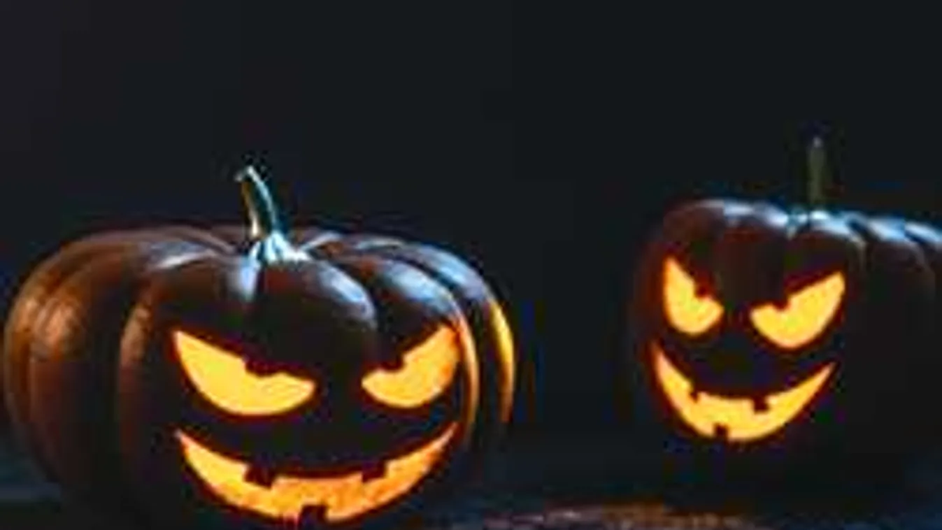 Halloween Parti lesz  ma az Állatkertben, állati jó bulinak ígérkezik