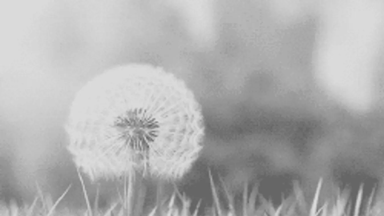 Itt a várva várt enyhülés, rendkívüli időre számíthatsz