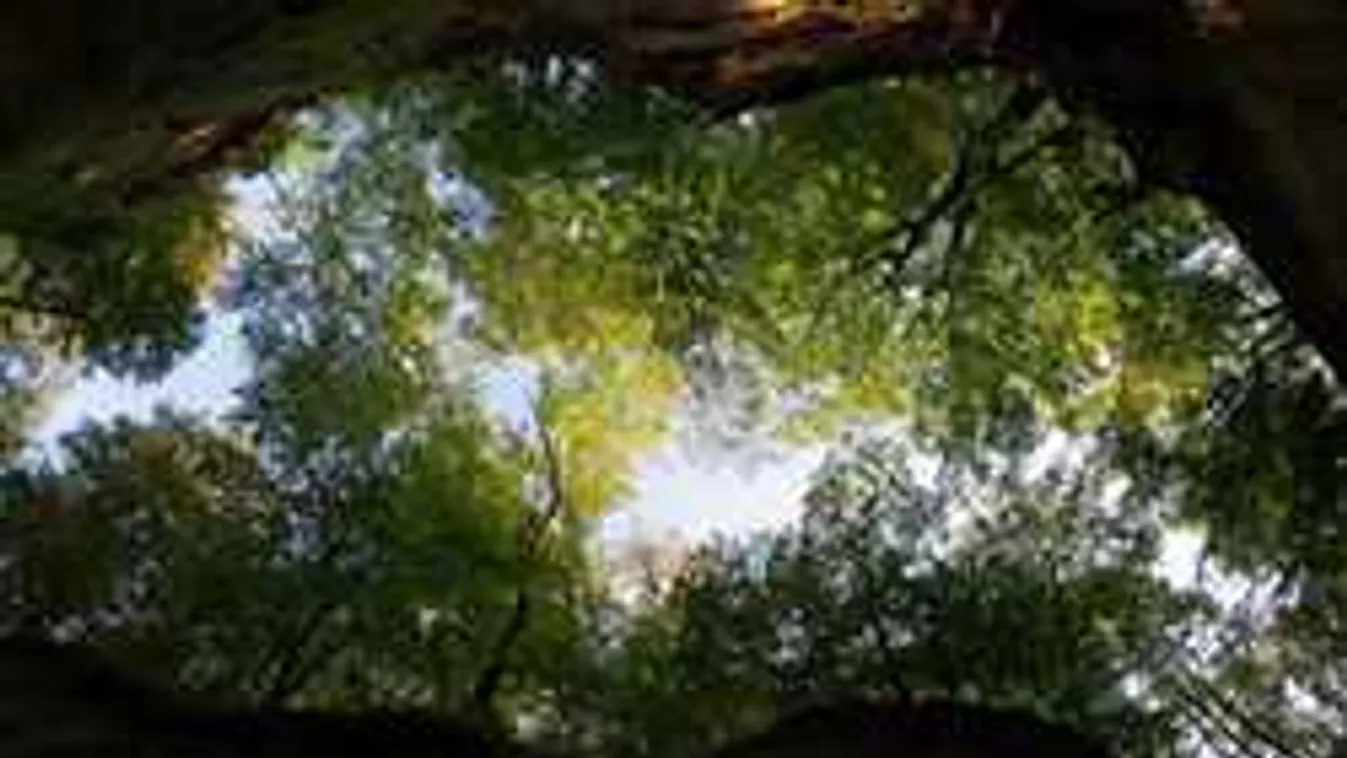 Drámai pillanatok Sátán: hőstettet hajtott végre a magyar rendőr