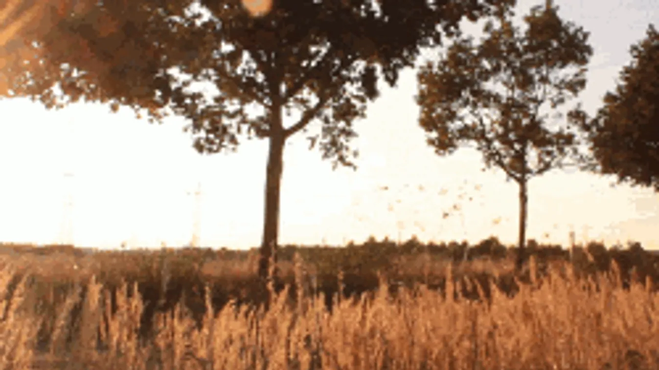 Még kitart a meleg, de itt a kellemetlen csavar az időjárásban