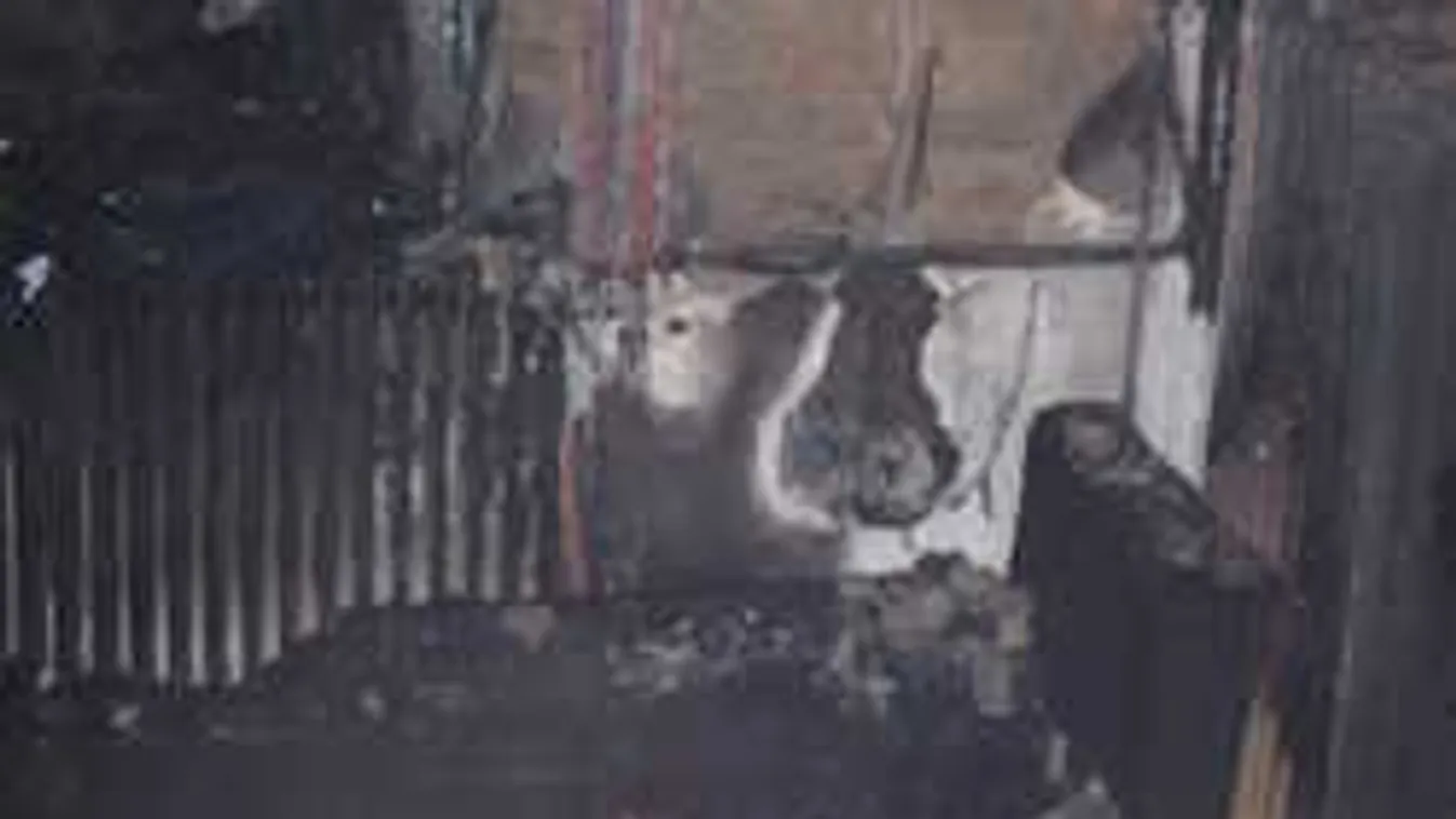 Drámai részletek a gyilkos tűzről, új lakásában halt meg anya és lánya