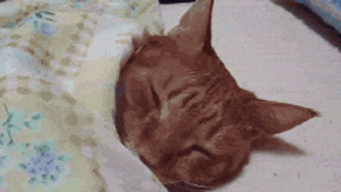 Közölte a meteorológia: nagy lehűlés jön, nem lesz jobb a helyzet