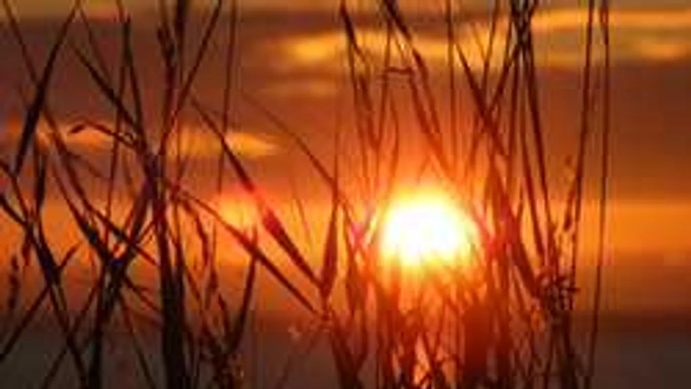 Egyetlen dolog teszi tönkre ma reggel a napos időt, erre készülj