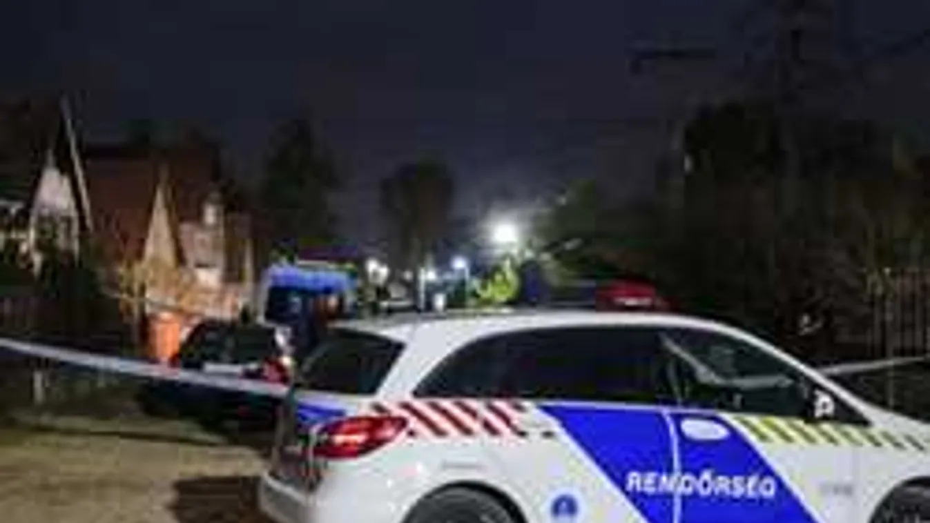 Elmegyógyintézetbe került a sülysápi csecsemőgyilkosság gyanúsítottja - videó