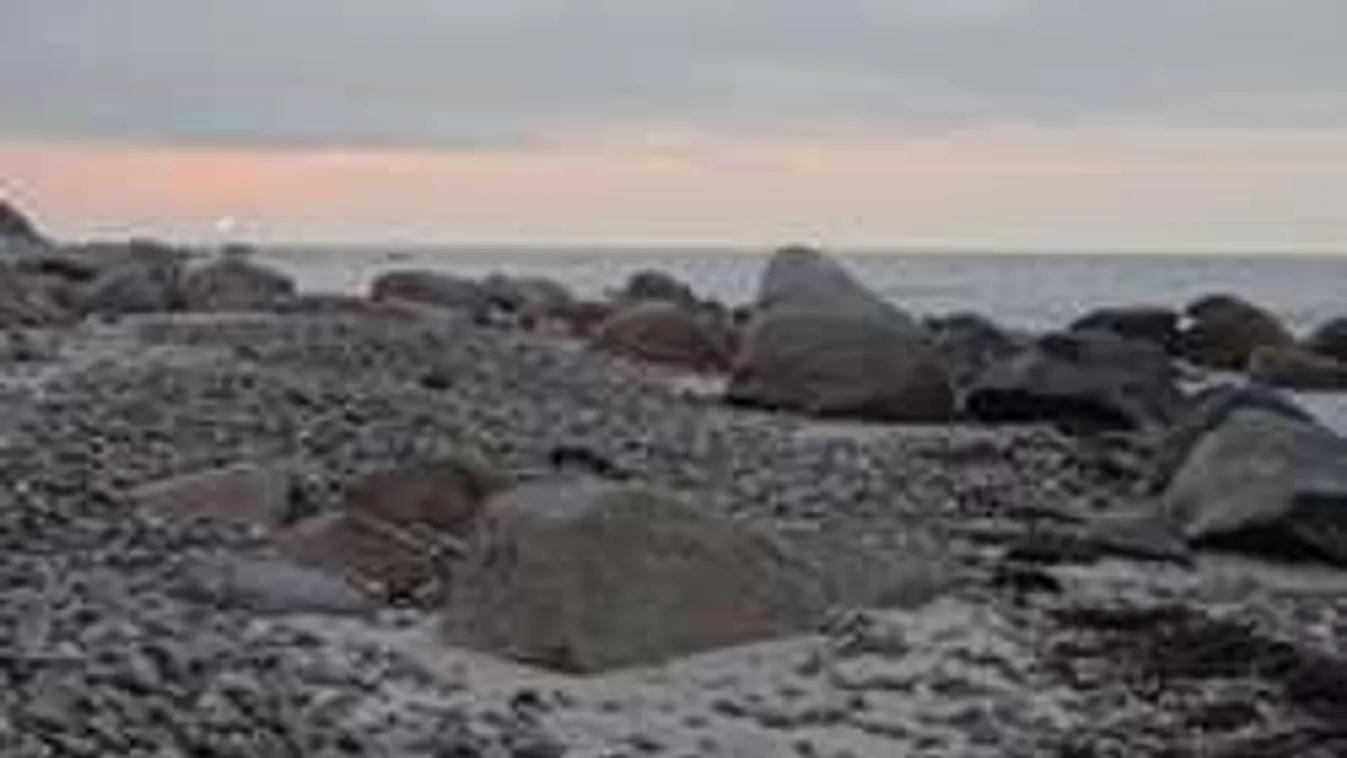 Keresd meg, hova bújt a kutya a képen - szinte lehetetlen meglátni