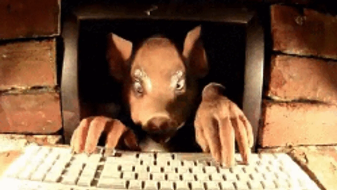 Dagad a botrány: Hamis hírekkel járatják le a magyar sztárokat