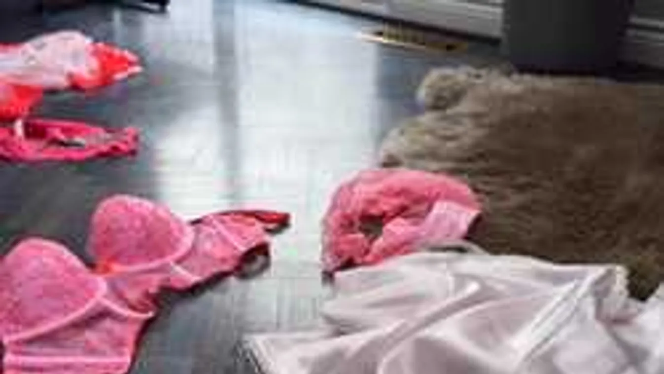 Újra lecsapott a bugyitolvaj, a kamera mindent vett