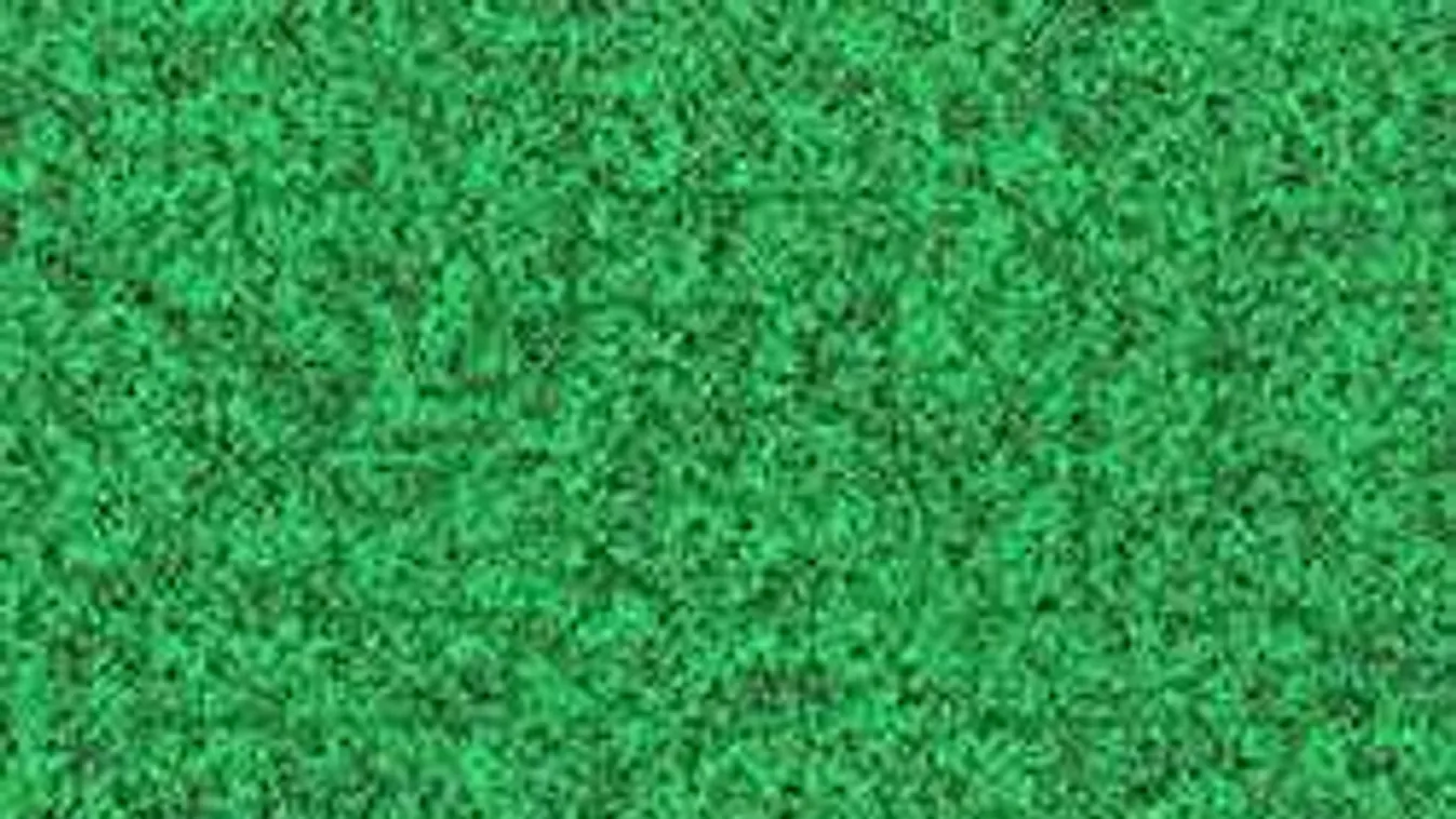 Teszteld le, mennyire éles a szemed - 100-ból csak 7 embernek sikerül a játék