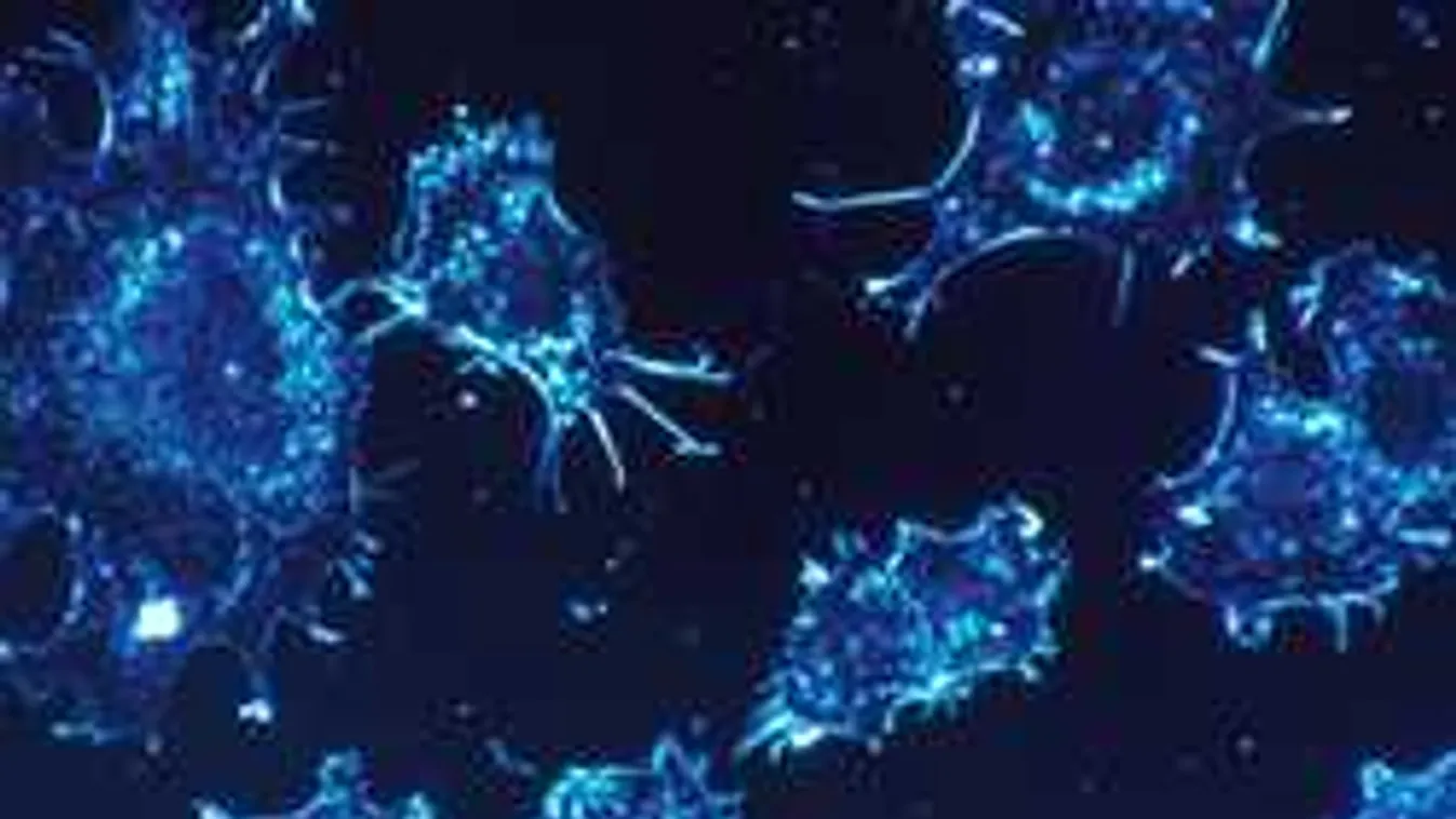 10 milliárddal többet költenek a rák kezelésére és megelőzésére