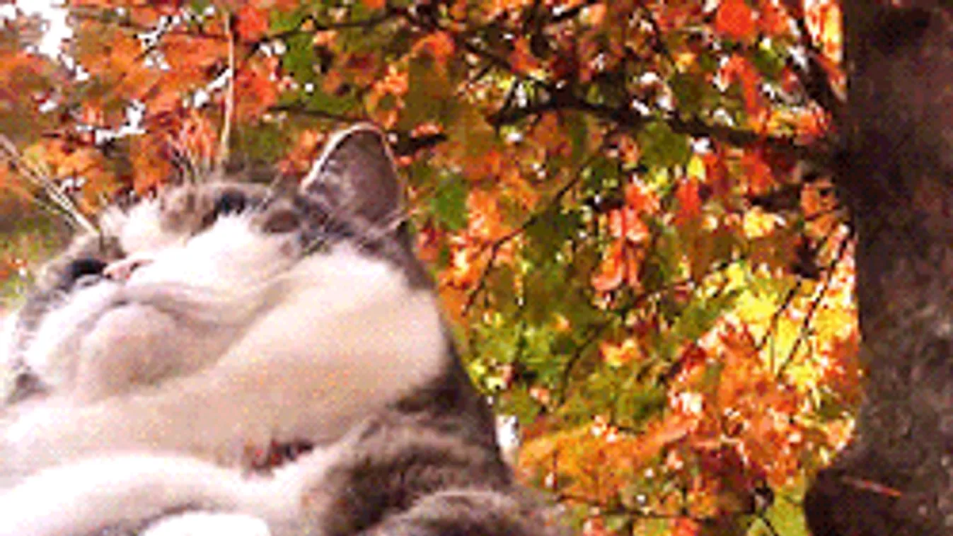 Délről érkezik a felmelegedés, szokatlanul enyhe időnek örülhetünk