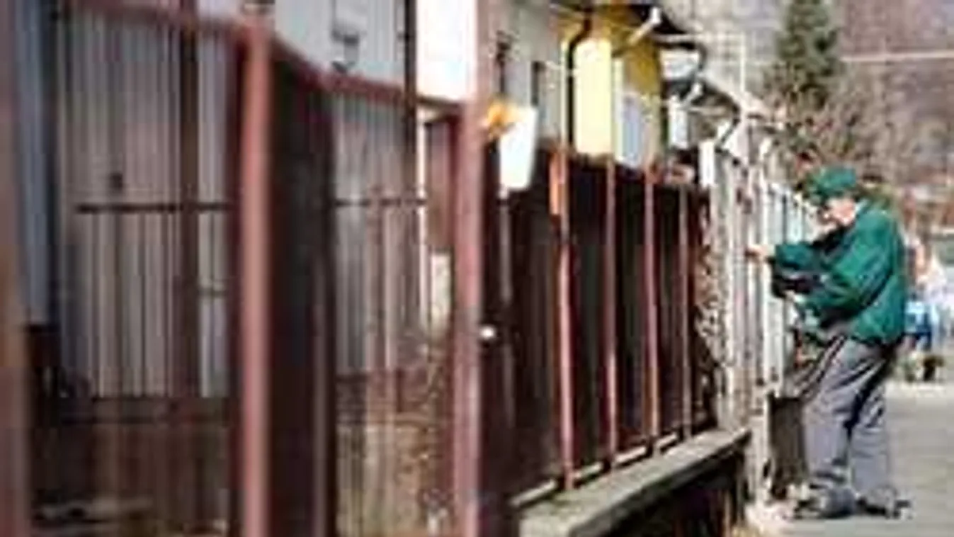 Így vert át mindenkit a nő, aki 20 évig felvette halott anyja pénzét