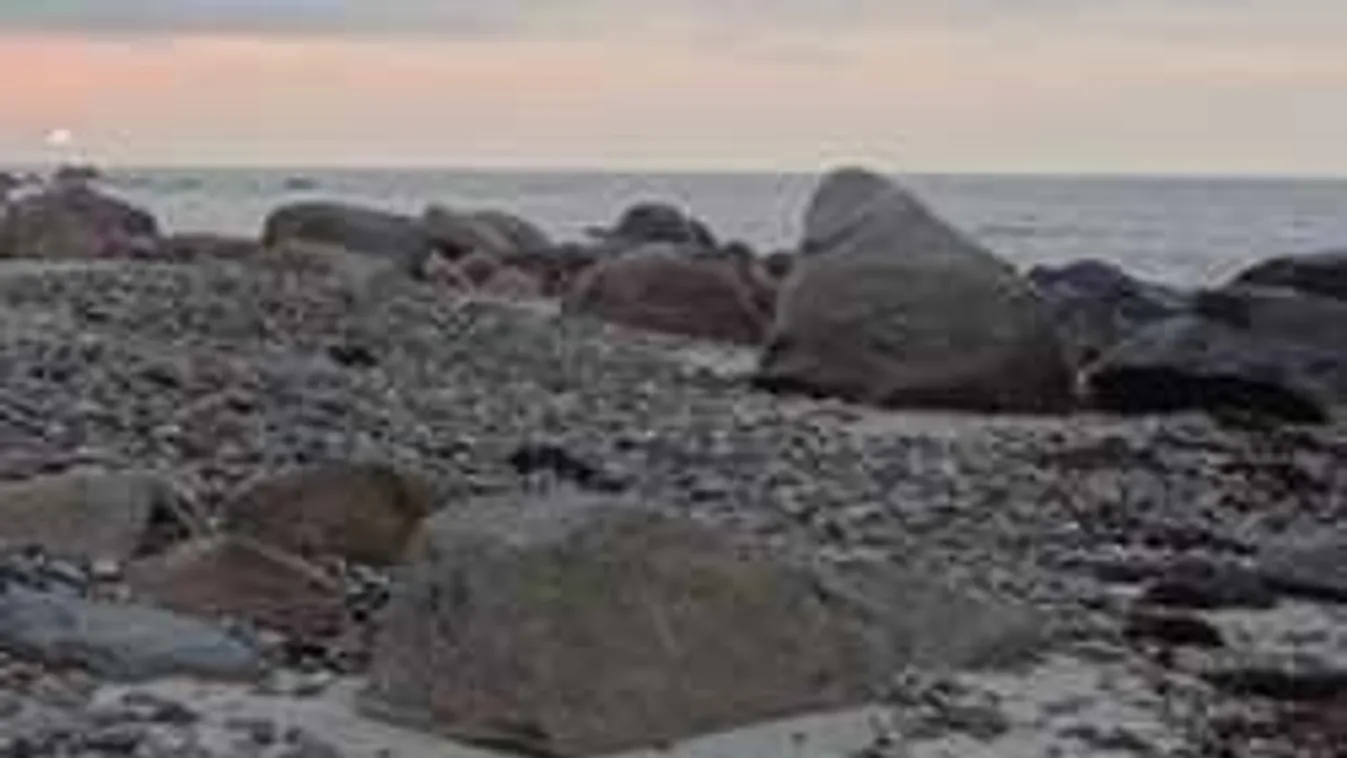 Találd meg a kutyát a képen - ha sikerül, zseniális vagy!