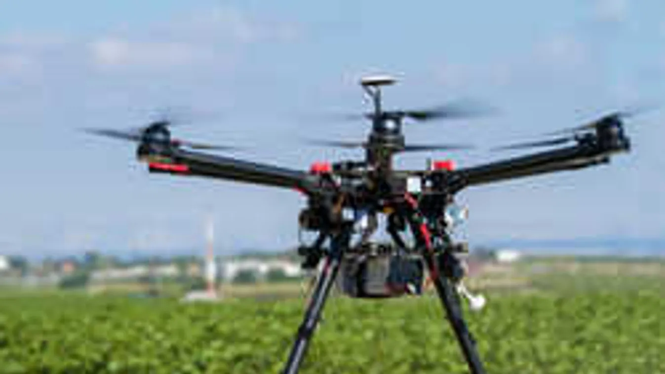 Egy egész drónhadsereggel veszik fel a harcot a parlagfű ellen
