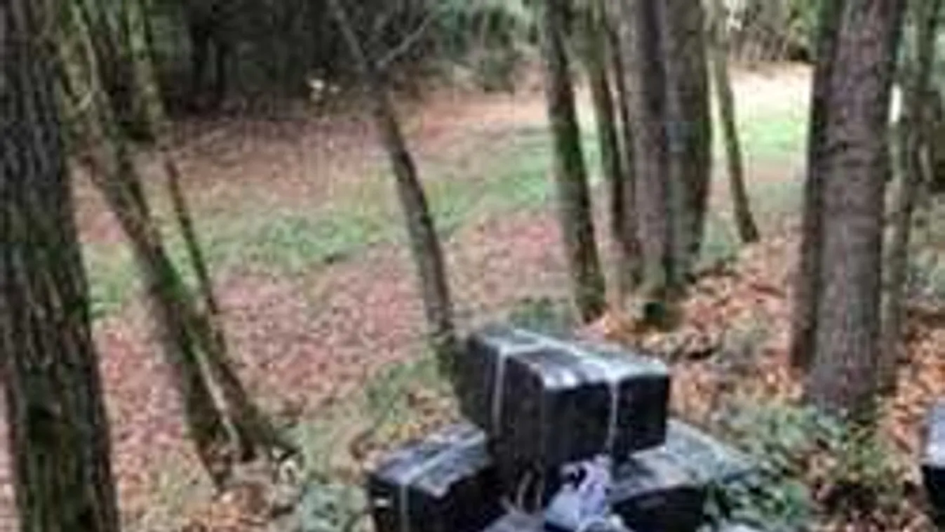 Lövések dördültek a magyar határnál