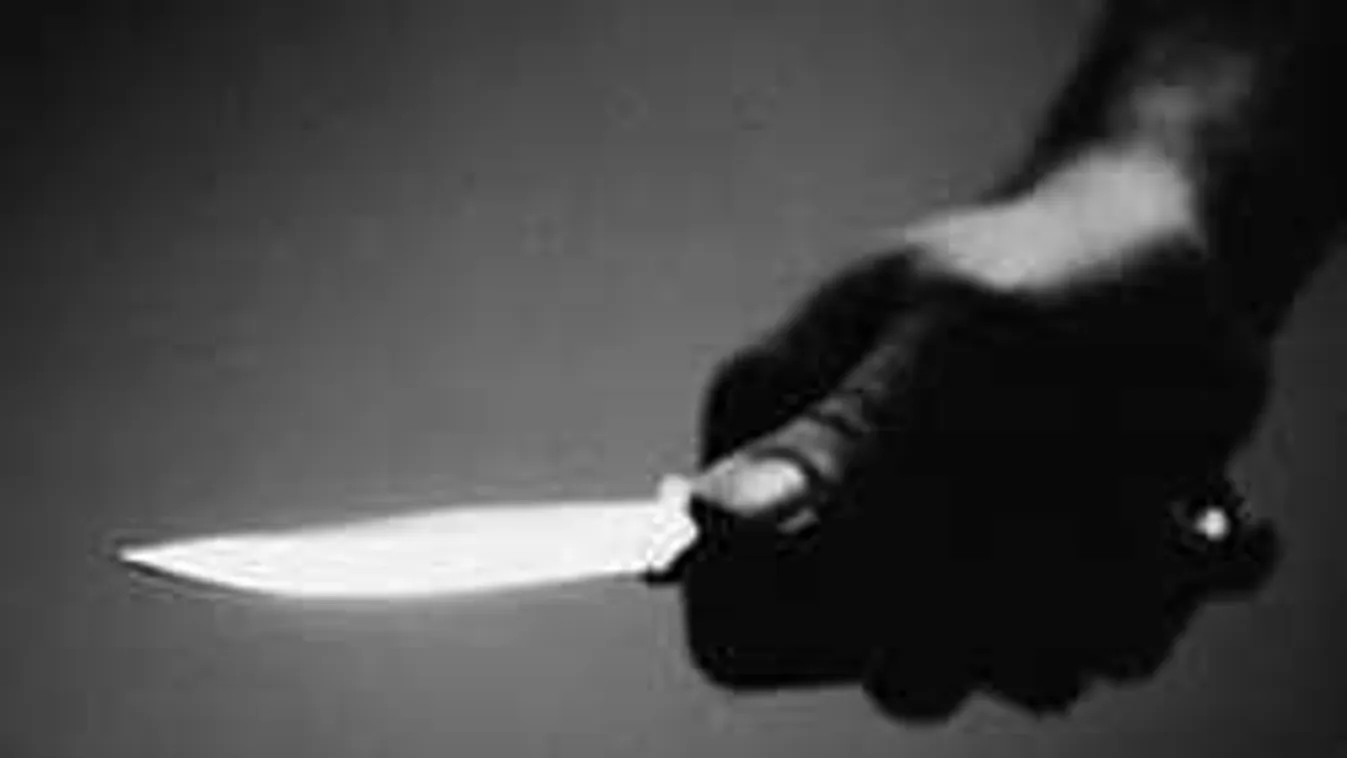 Vérfagyasztó, fejlevágós gyilkosságba torkollt a borozgatás Szatmárban