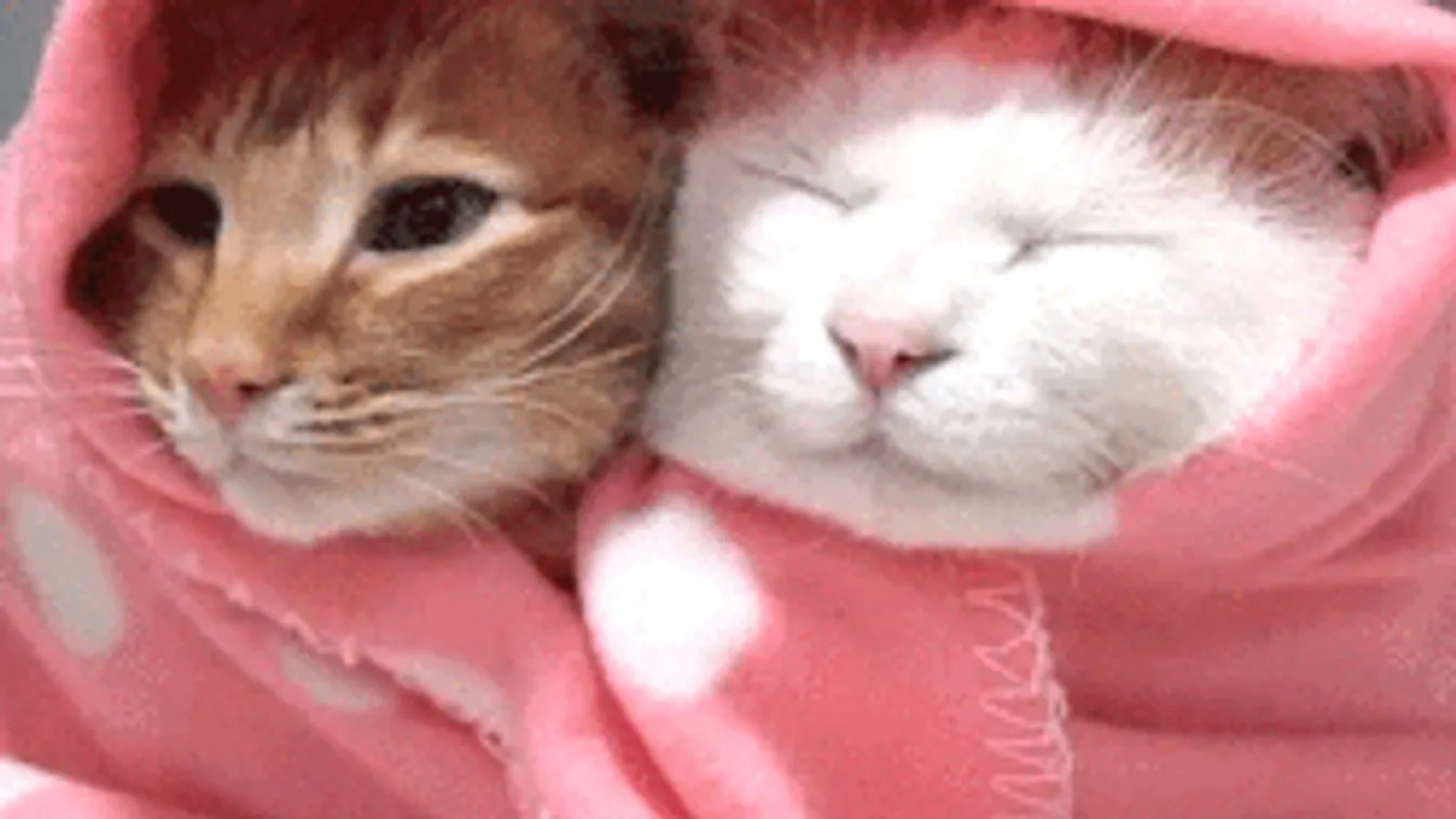 Mediterrán ciklon alakítja át az időjárást, nagy esővel jön a hideg