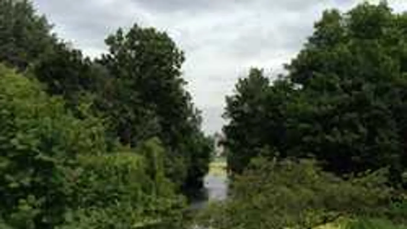 Készültség, kiürítették London legnépszerűbb parkját: bombát találtak