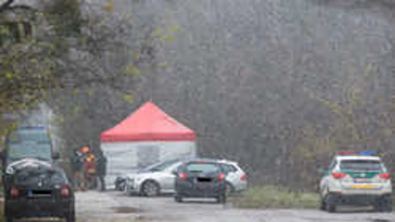 Horror a focipálya mellett: Friss hírek az elvágott torkú férfiről