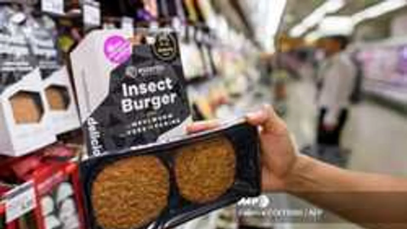 Igazi ínyencség, bogárból készül a hamburger