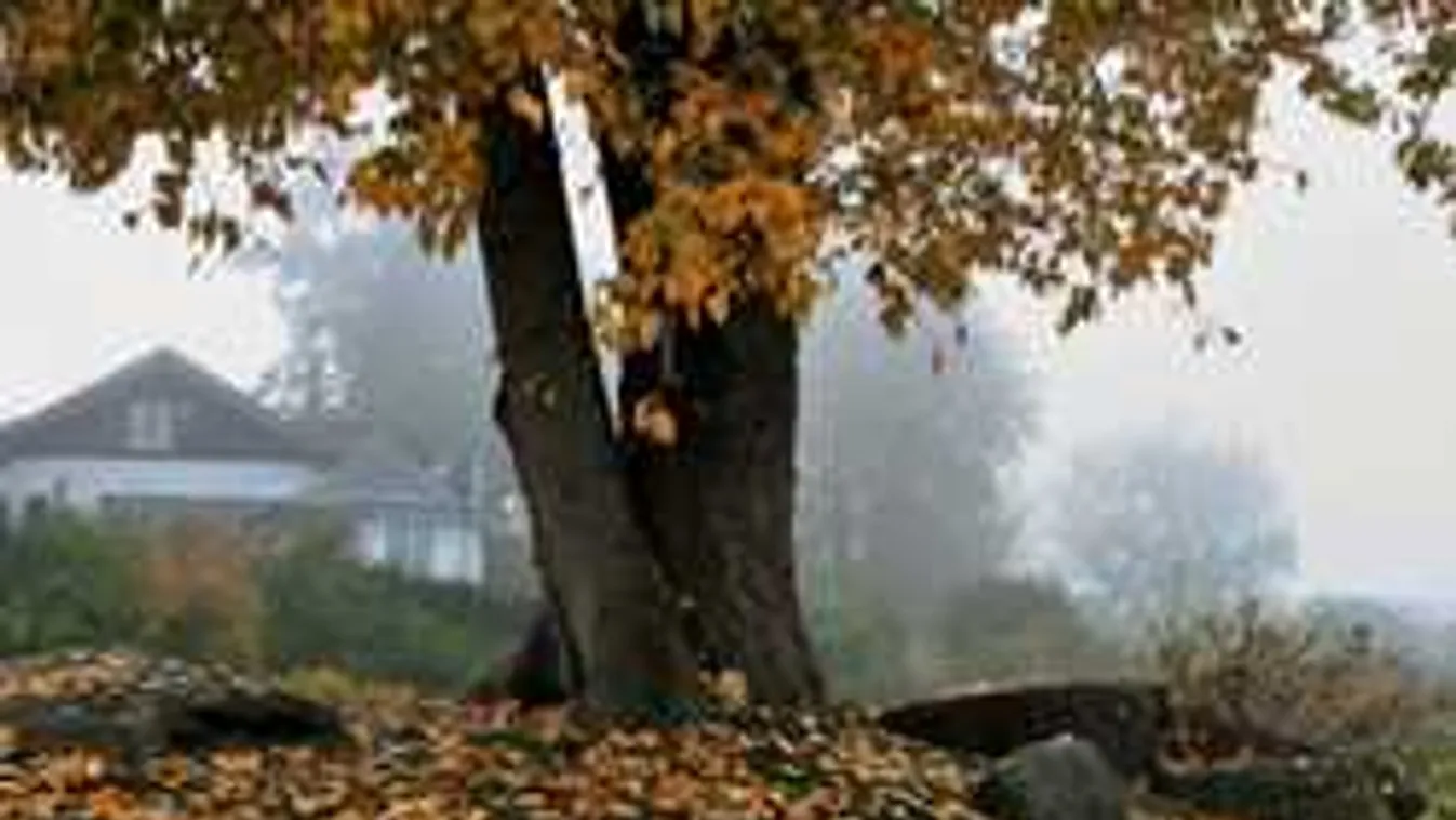 Kiadták a riasztást: lehűl a levegő, de nem ez lesz a legrosszabb