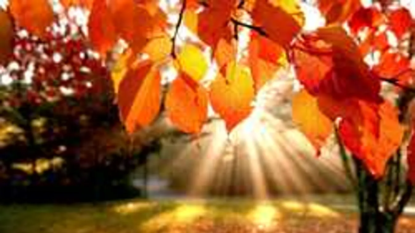 Folyamatosan dőlnek meg a melegrekordok