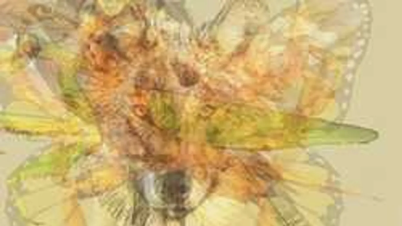 Döbbenetesen őszinte ez a személyiségteszt -  mit látsz meg először a képen?