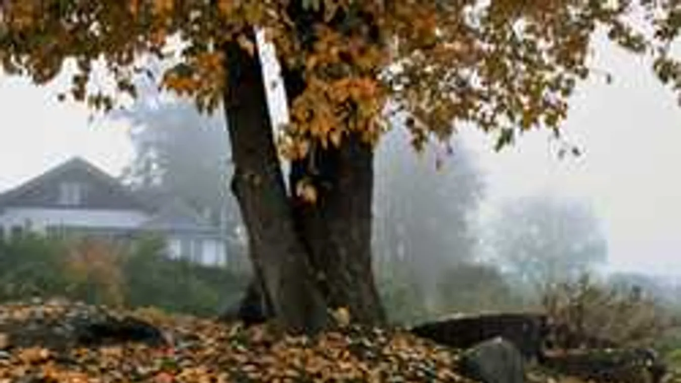 Riasztást adtak ki a meteorológusok, mutatjuk hol lesz tartós köd