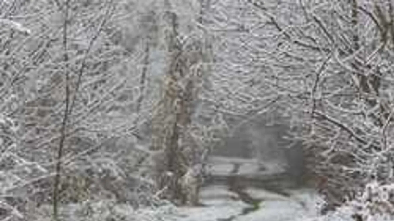 Óriás felhőtömb nyomul felénk fagyott csapadékkal, durva havazás jön