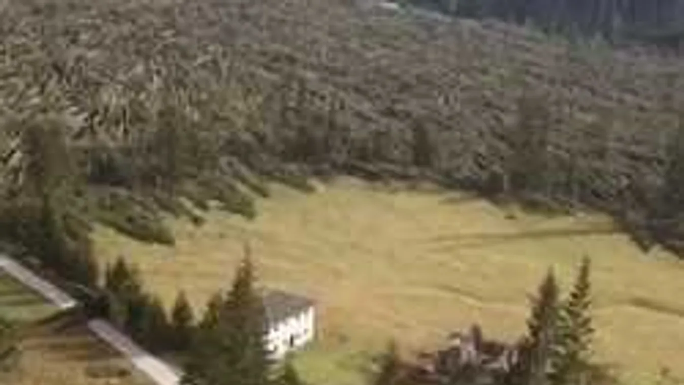 Szörnyű látvány: több százezer fát csavart ki a viharos idő