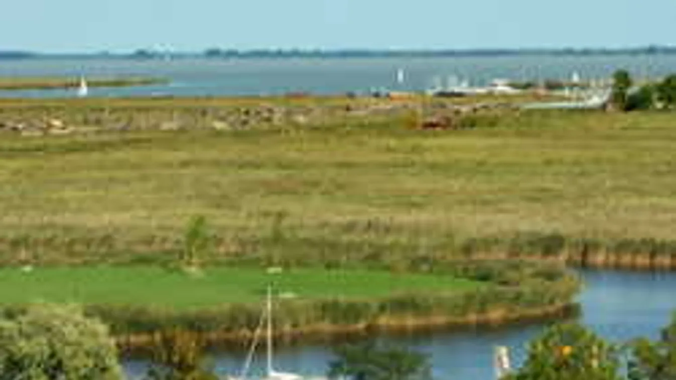 Sokkoló, mi derült ki a magyar nőt feldaraboló bécsi kannibálról