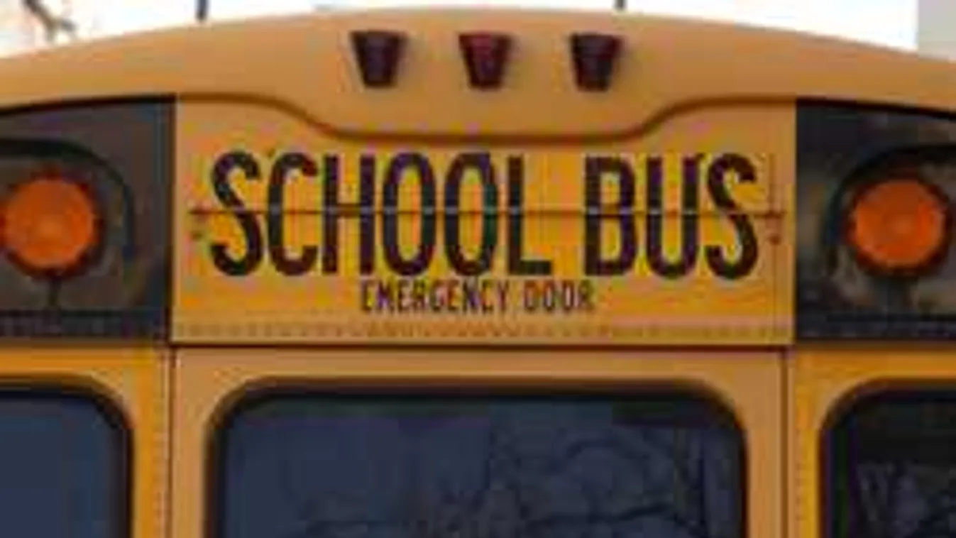 Iskolabusz-hálózat lesz Magyarországon