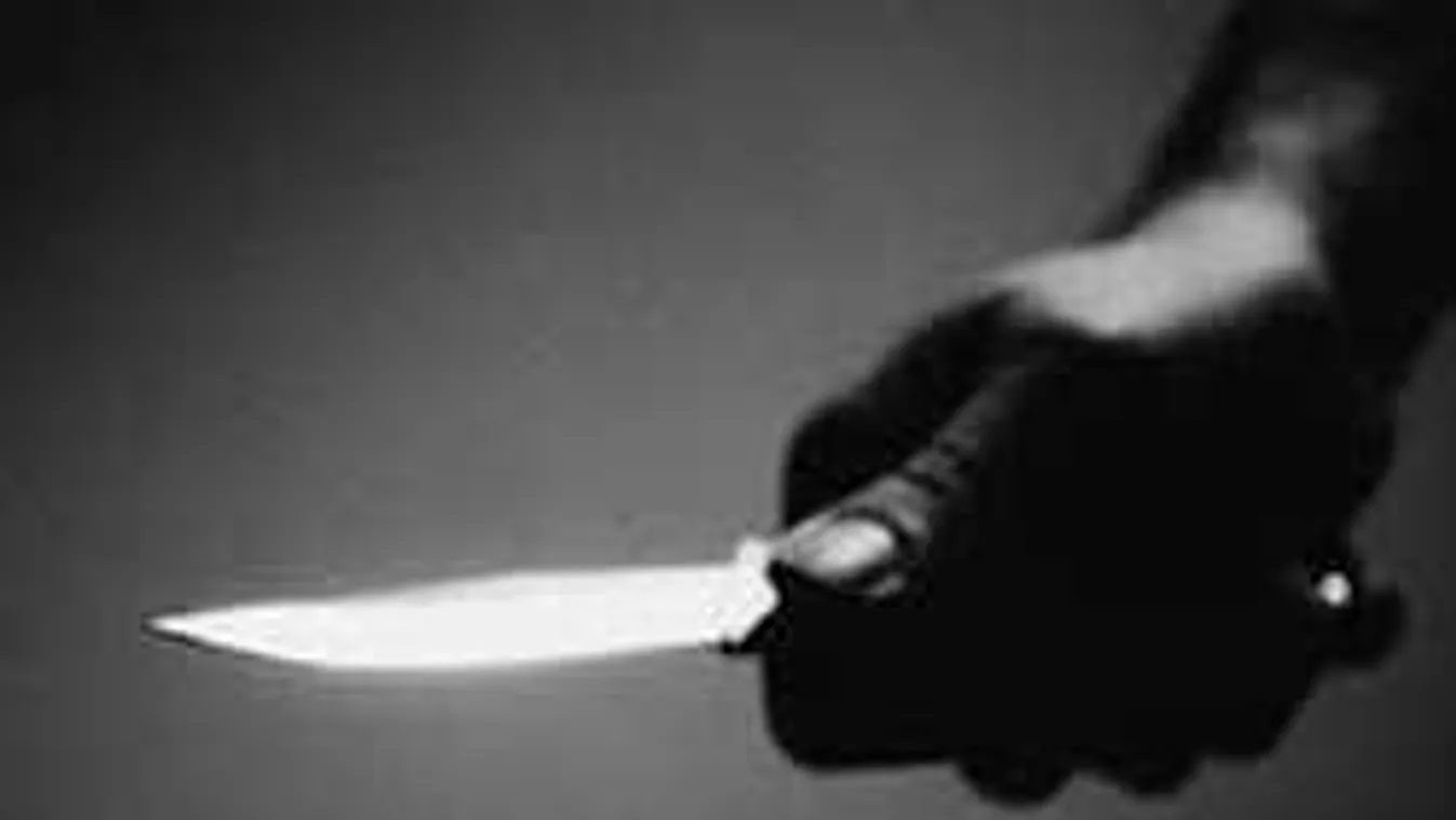 Botrány az étteremben: gyomorforgató, mi került a vegetáriánus menübe