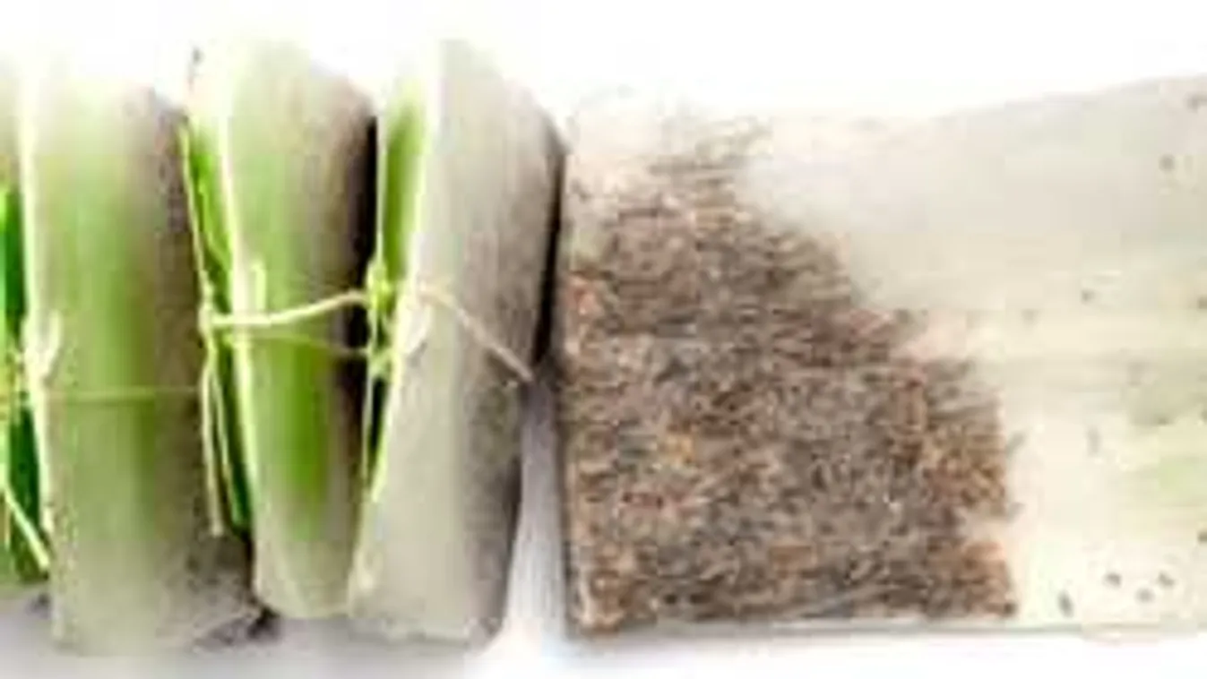 Nem akarsz egeret, pókot látni a házban? Így űzd el őket!