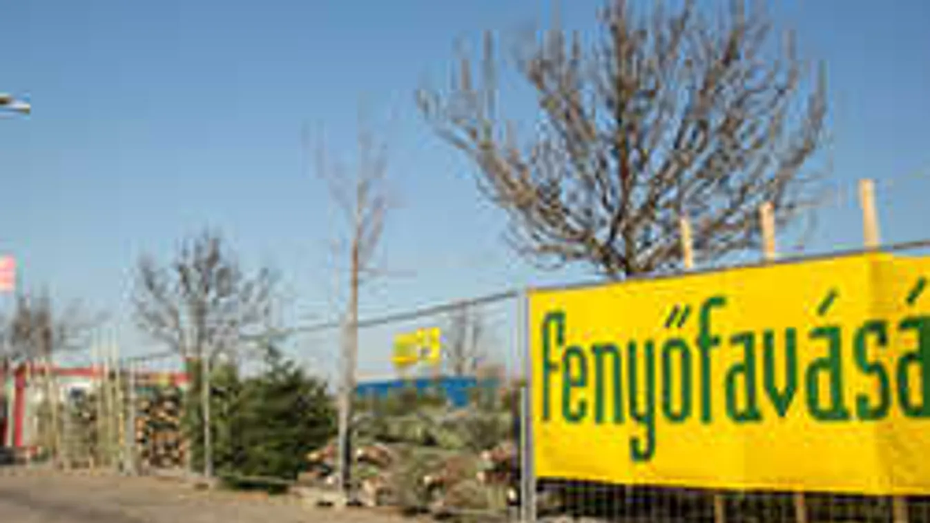 Féláron adják a műfenyőt, de az igazival is akcióznak