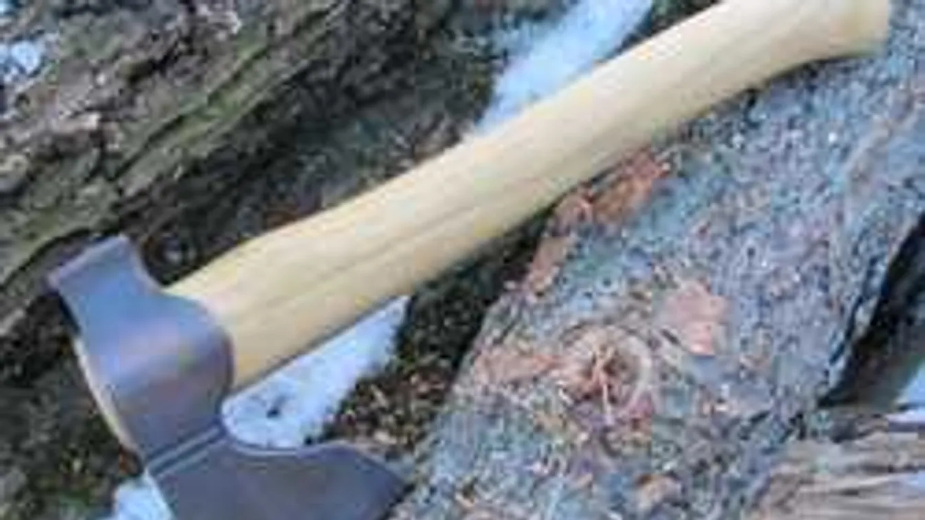 Szörnyű gyilkosság: feldarabolta barátját Miklós