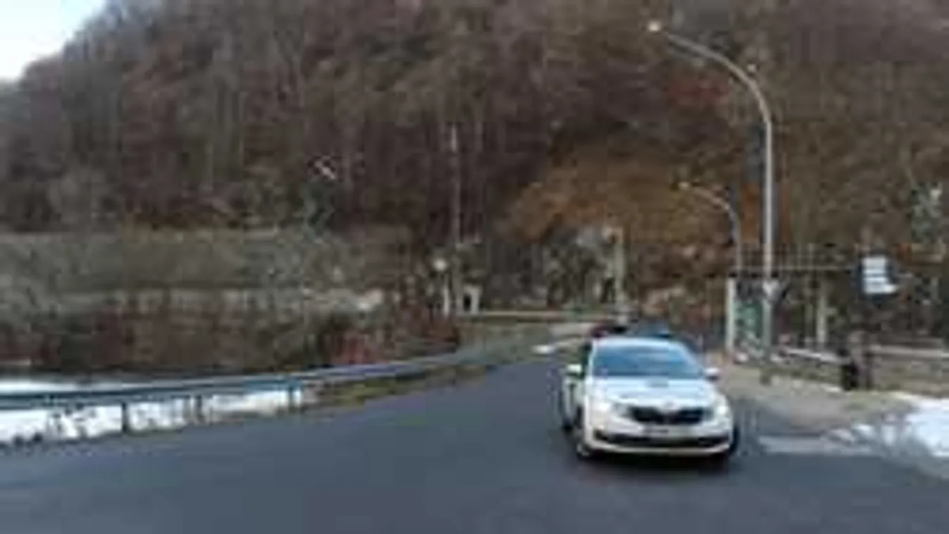 Rendőrök mentették meg az életét egy budapesti férfinek az erdőben