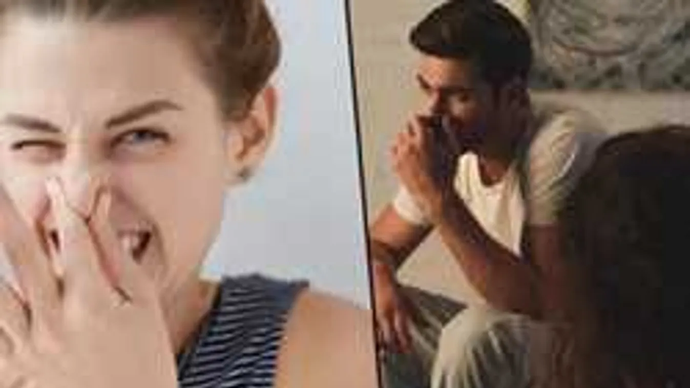 Brit kutatók: Hosszabb életed lehet párod szellentésének szagolásától