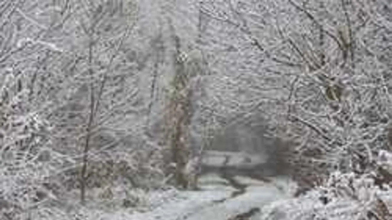 Óriási meglepetést tartogat a pénteki időjárás, erre készülj holnap