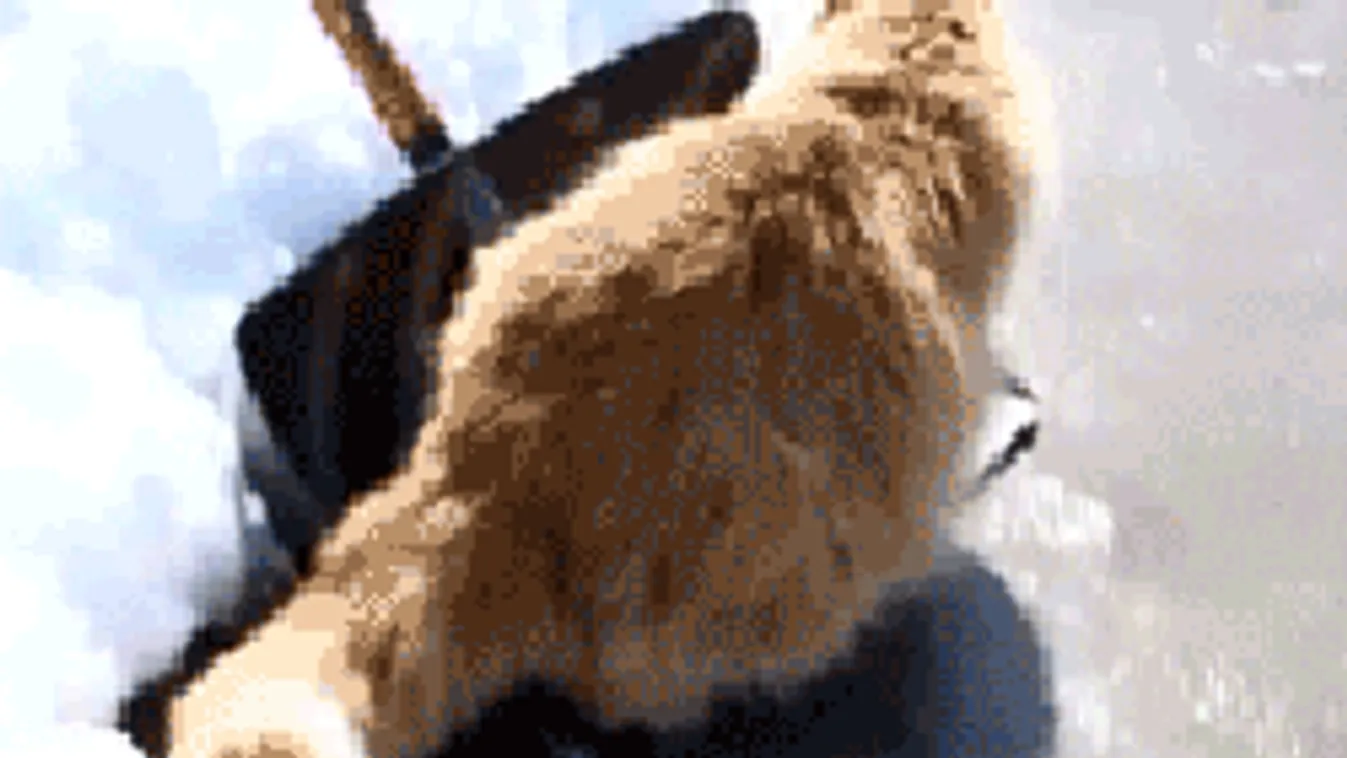 Ónos eső és köd: mutatjuk, hol lesz a legrosszabb a helyzet