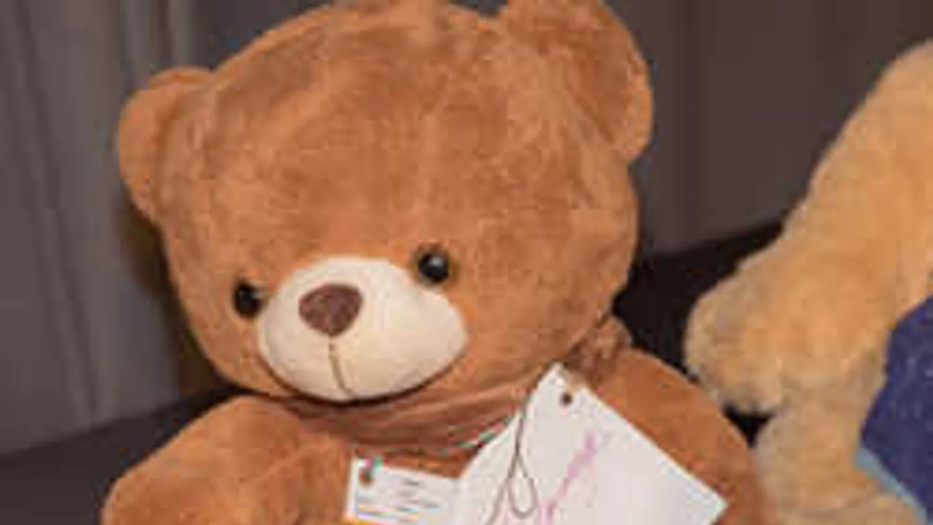 Röpködtek a macikért a milliók