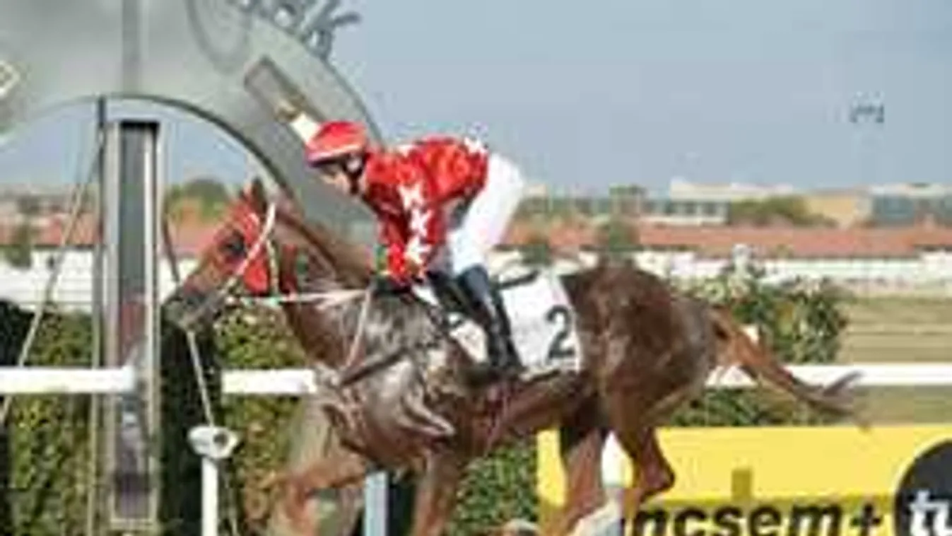 Megtaláltuk Overdose csikóját, íme az új magyar csodaló