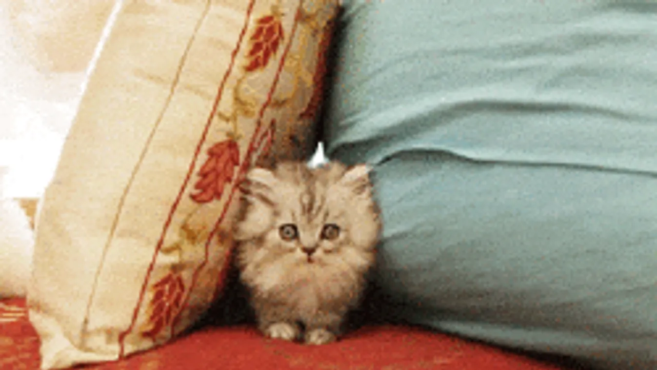 Hihetetlenül enyhe idő lesz: megérkezett a karácsonyi előrejelzés