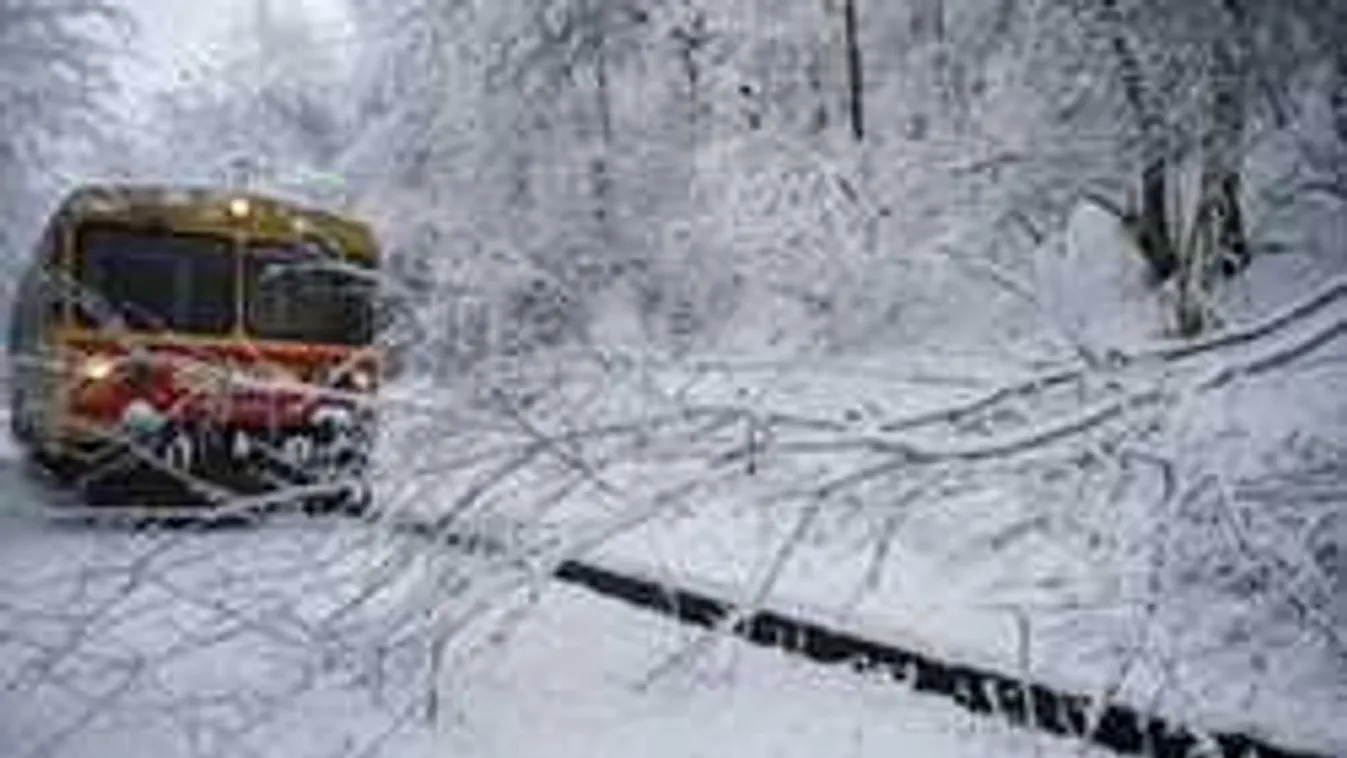 Erős havazás és vihar: 150 fát és villanypóznát döntött ki a brutális erejű szél