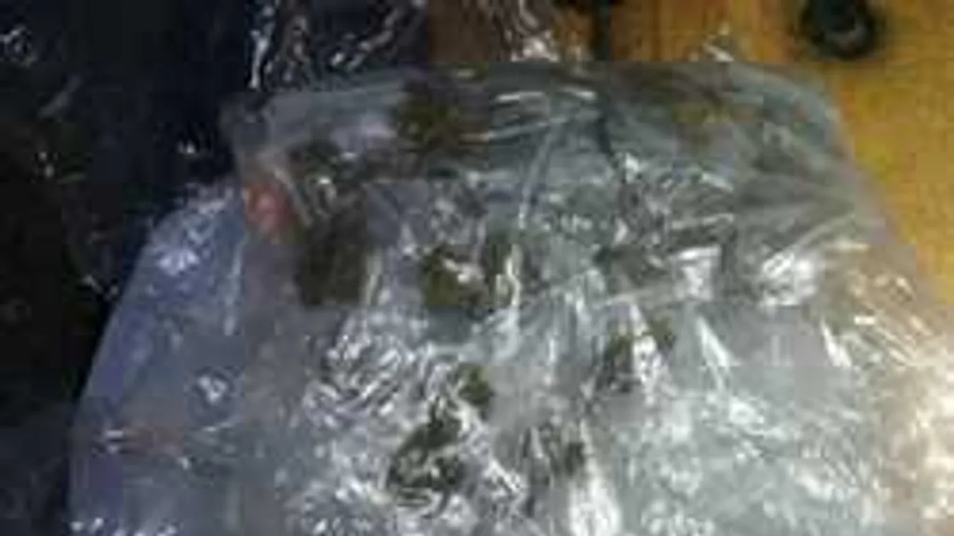 Az igazoltató rendőröket is meglepte, honnan került elő László autójából a kábítószer