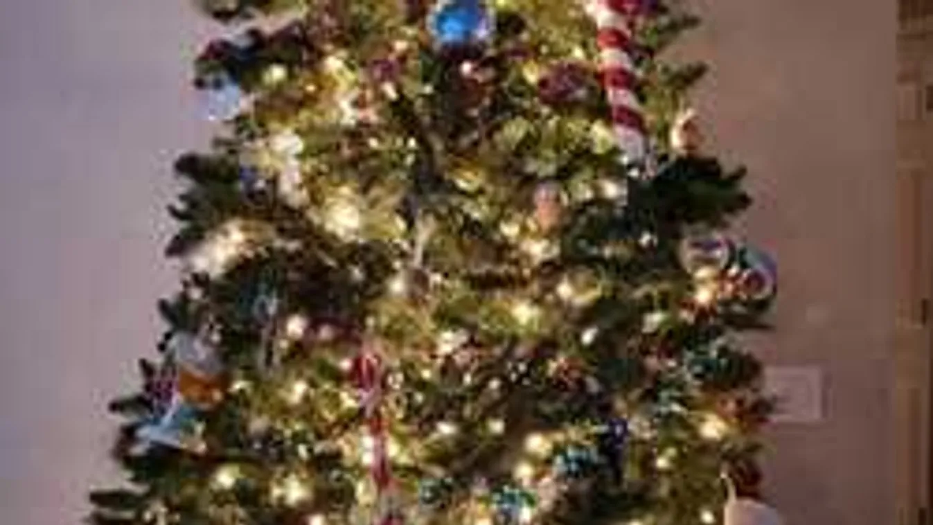 Megőrülnek a netezők ettől a karácsonyi képtől, te észreveszed, miért?