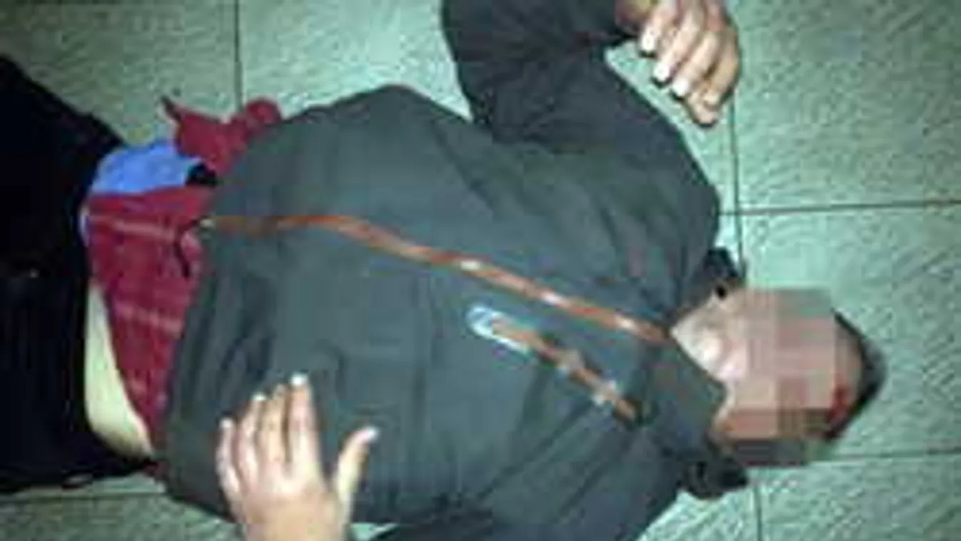 Halálra fagyva találtak a híres palacsintás gyilkosra Vas megyében