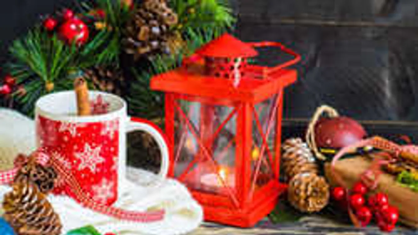 Ennyi mindenre használhatod a fenyőtobozt. Most gyűjtsd össze