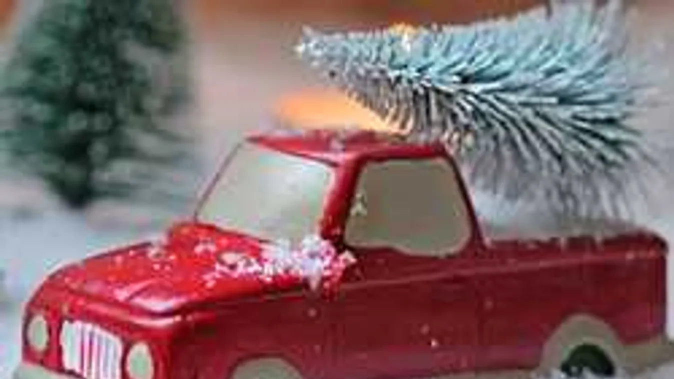 Műfenyőt szeretnél? Így találod meg a legjobbat!