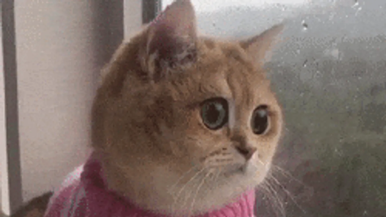 Durvul a helyzet: vészjelzés az ónos eső miatt, de ez még csak a kezdet